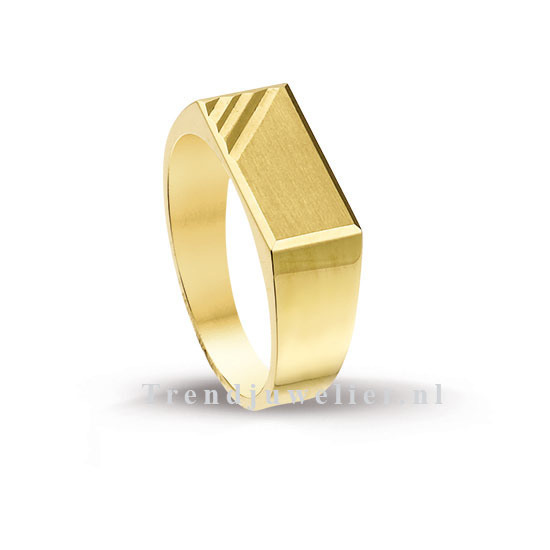 Centraliseren wereld warm Gouden heren ring - 4013001 | Trendjuwelier