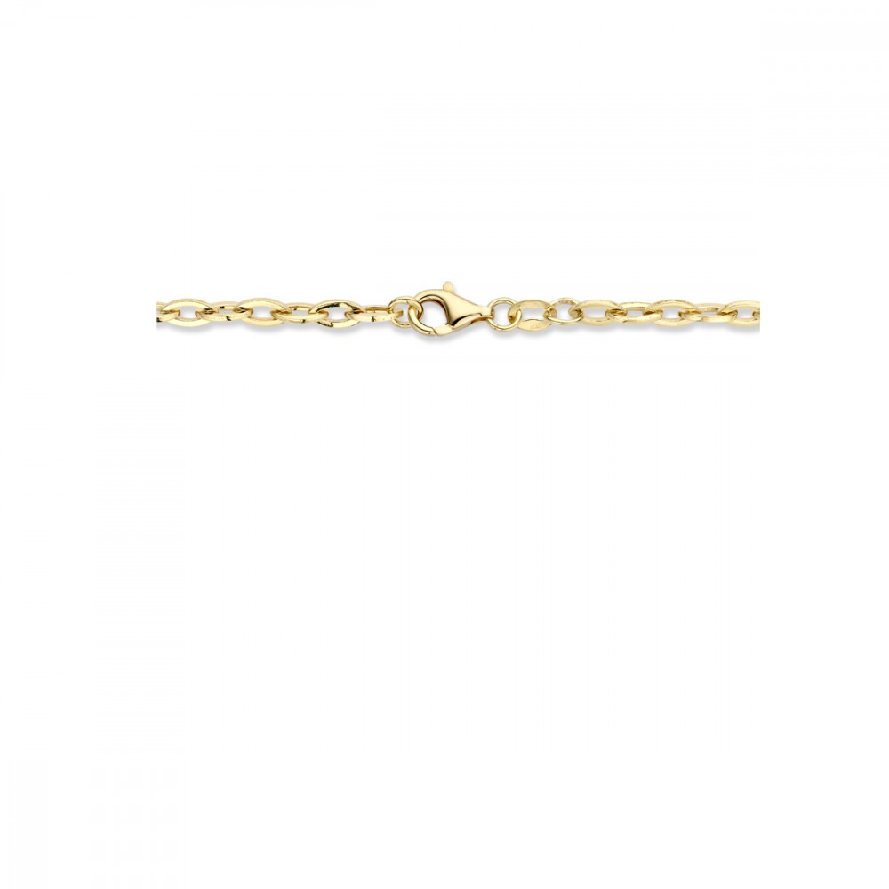 ankerschakel-4-mm-schakelcollier-gold-plated-lengte-45-cm